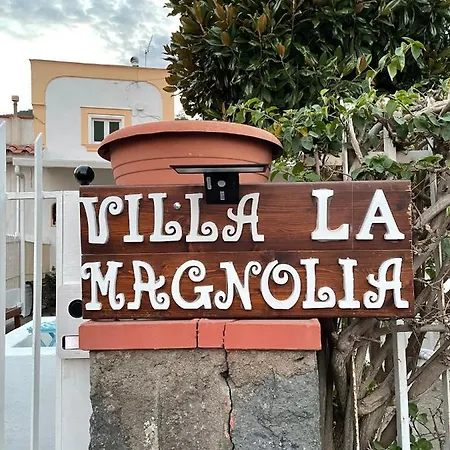 La Magnolia * Ίσκια
