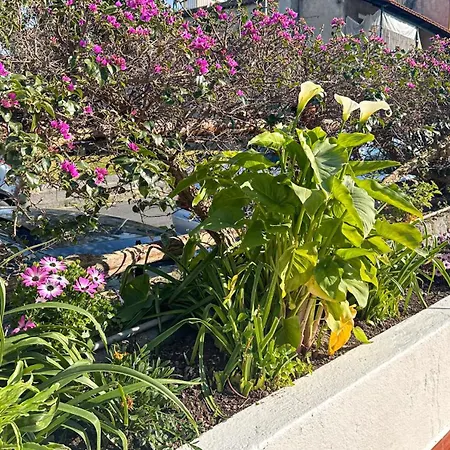 La Magnolia Nyaraló