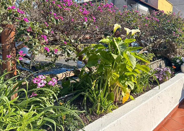 La Magnolia Casa de Férias